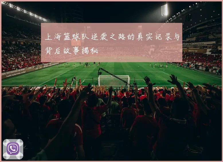 上海篮球队逆袭之路的真实记录与背后故事揭秘