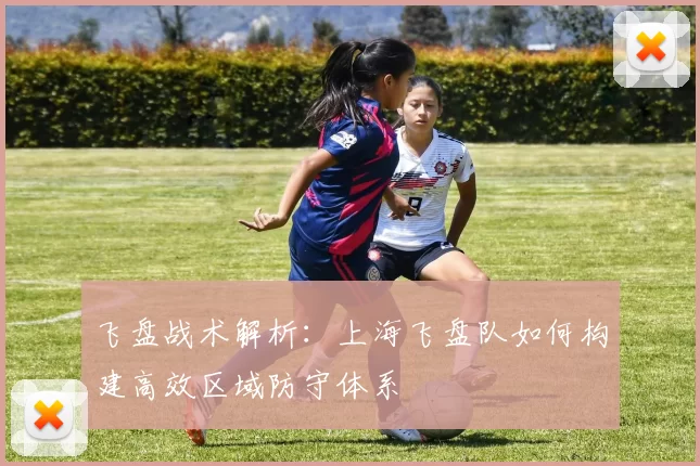 飞盘战术解析：上海飞盘队如何构建高效区域防守体系