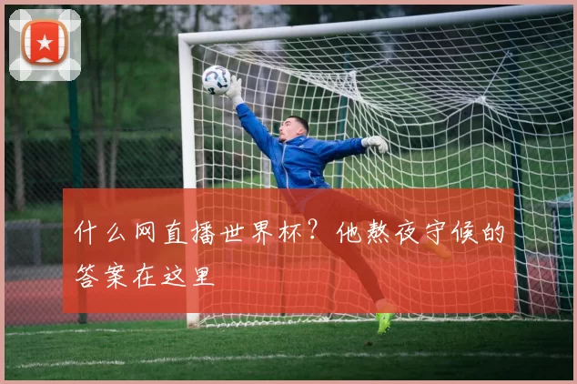 什么网直播世界杯?他熬夜守候的答案在这里