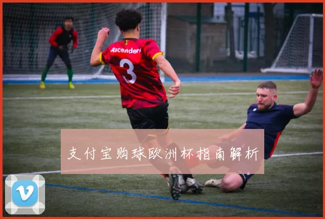 支付宝购球欧洲杯指南解析