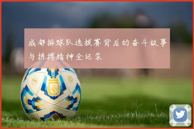 成都排球队选拔赛背后的奋斗故事与拼搏精神全记录