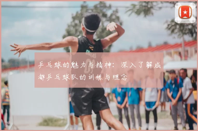 乒乓球的魅力与精神：深入了解成都乒乓球队的训练与理念