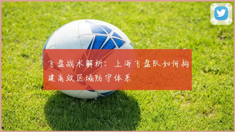 飞盘战术解析：上海飞盘队如何构建高效区域防守体系