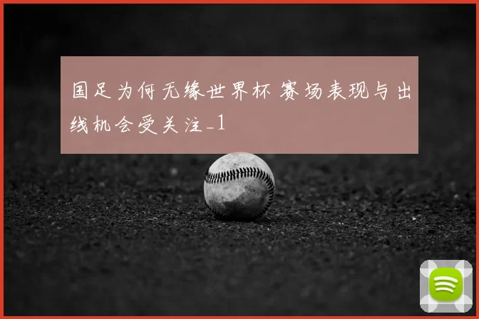 国足为何无缘世界杯 赛场表现与出线机会受关注_1