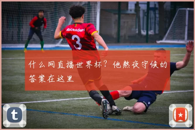 什么网直播世界杯?他熬夜守候的答案在这里