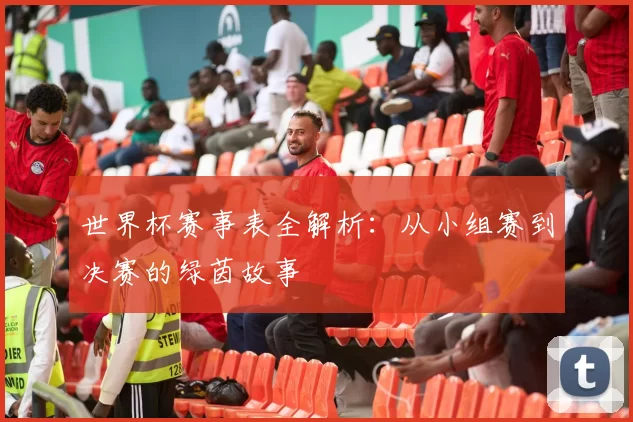 世界杯赛事表全解析：从小组赛到决赛的绿茵故事