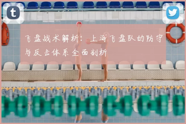 飞盘战术解析：上海飞盘队的防守与反击体系全面剖析