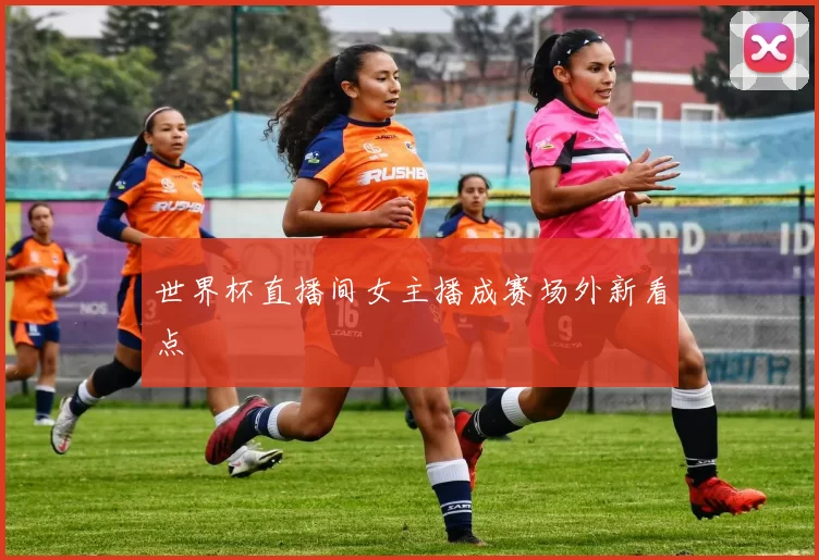 世界杯直播间女主播成赛场外新看点