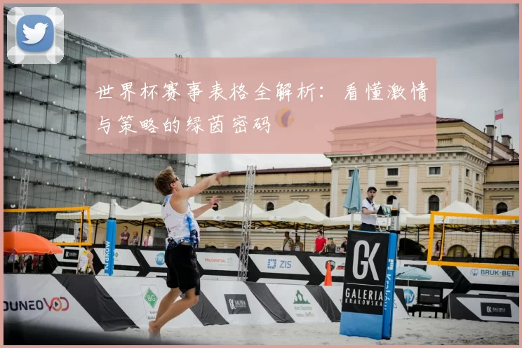 世界杯赛事表格全解析：看懂激情与策略的绿茵密码