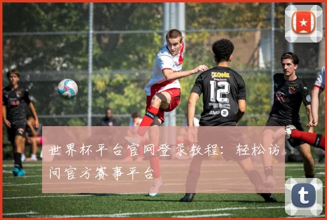 世界杯平台官网登录教程：轻松访问官方赛事平台