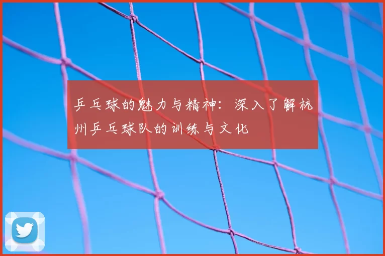 乒乓球的魅力与精神：深入了解杭州乒乓球队的训练与文化