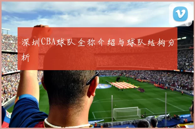 深圳CBA球队全称介绍与球队结构分析