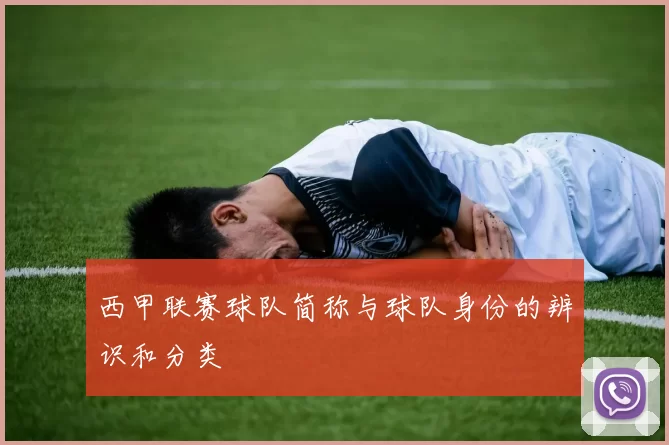 西甲联赛球队简称与球队身份的辨识和分类