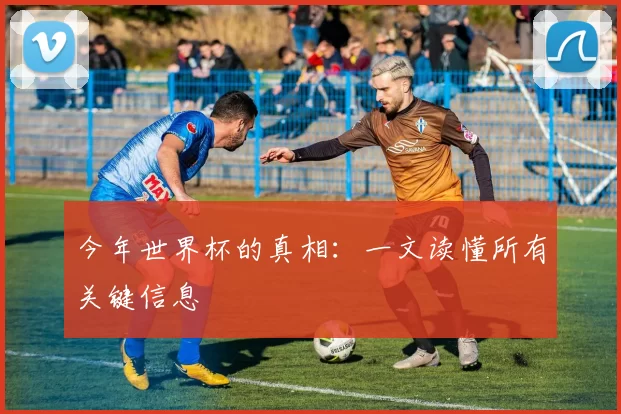 今年世界杯的真相：一文读懂所有关键信息