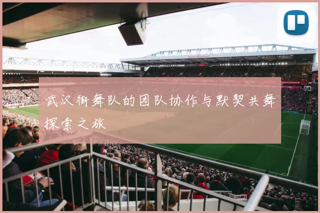 武汉街舞队的团队协作与默契共舞探索之旅