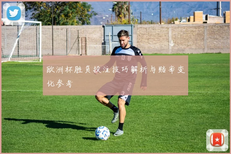 欧洲杯胜负投注技巧解析与赔率变化参考